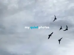 🙊