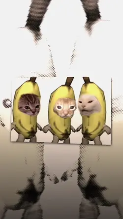 malu sama kucing 