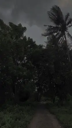 dark vibes