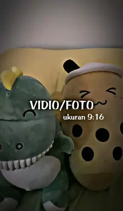 VIDIO/FOTO 