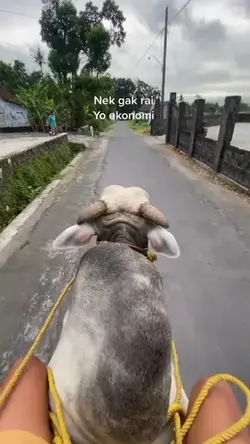 ga ngunu ta??