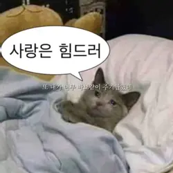 열분 저 드디어 정식캡크 됐어요!!!