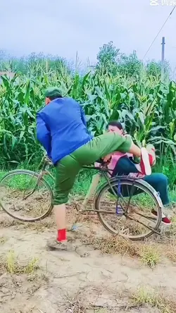 Chuyện ở ruộng ngô