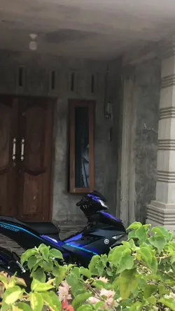 mxking