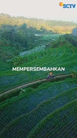 brasa main ftv