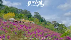 Phong cảnh hữu tình