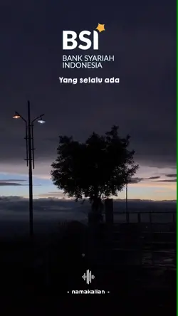 BSI NIH BOS