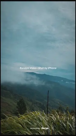 Random Video