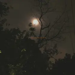 i watch the moon 