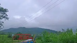 sana kau ke
