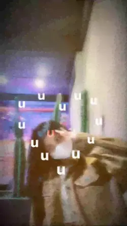 Filter Estetik
