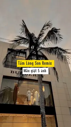 Tấm Lòng Son Remix 