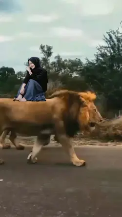 NAIK LION