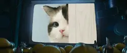 film animasi
