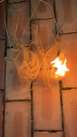 보통연애