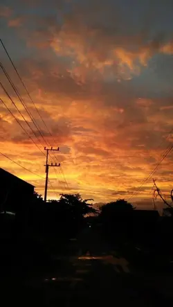 senja 