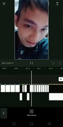 fake editor prank