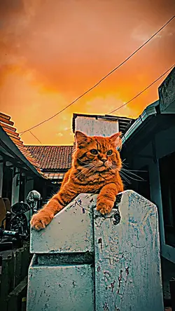 Filter Lightroom