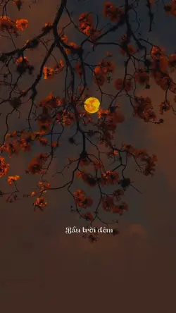 Mẫu lyrics + Màu