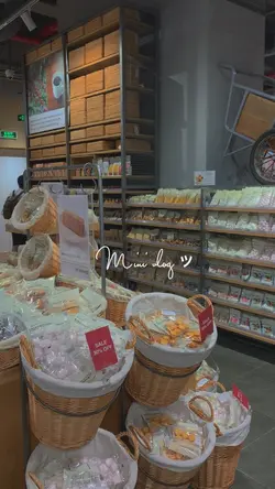 Mini Vlog ッ