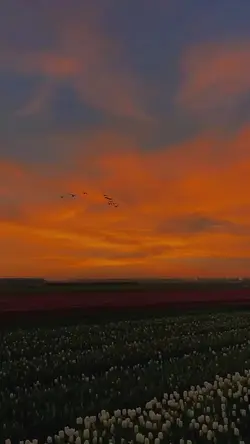 Heat waves slowmo