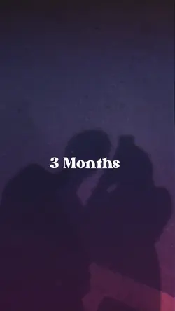 3 Months 