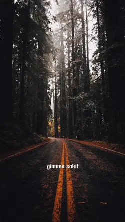 motivasi