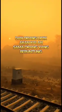 Orang Licik