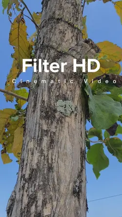 Cinematic Filter HD
