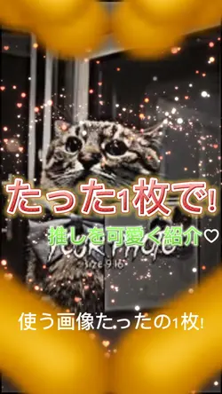 使用画像たった1枚!