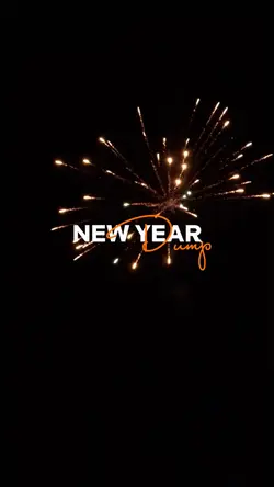new year dump