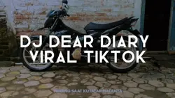 Dj dear diary