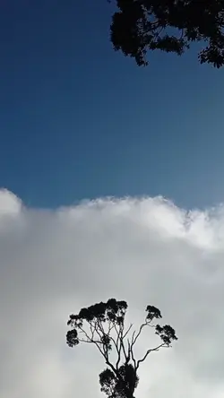 kumpulan awan