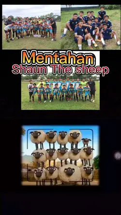 Shaun the sheep
