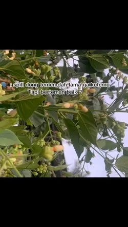 Temutemanlama