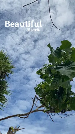 MINI VLOG