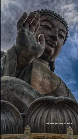 luật nhân quả…