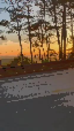 MẪU SLOW PIXEL HOT