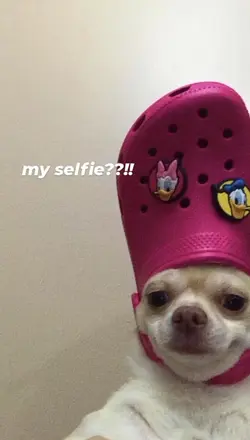 my selfie 