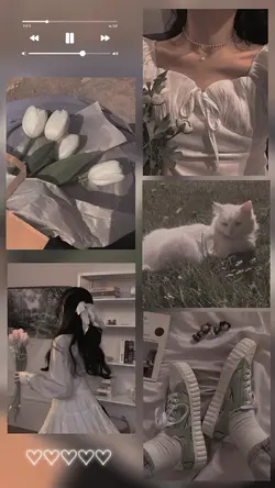 aesthetic