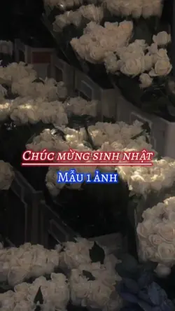 Vòng lặp sinh nhật