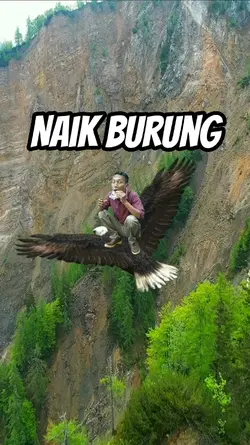 Naik Burung