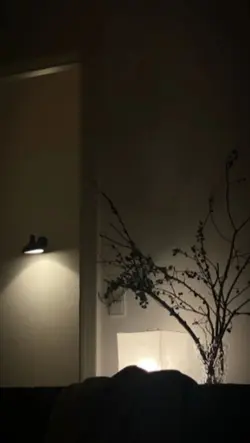 Kane bang