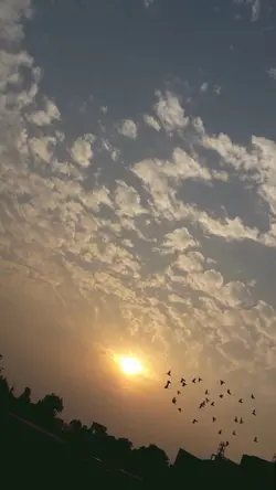 mẫu 2 ảnh 