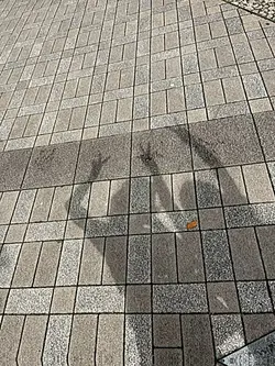 使う際はコメント