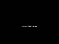 unexpected friends 