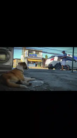 slowmo video