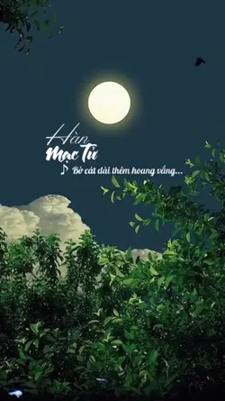 Bài hát nhạc vàng 40