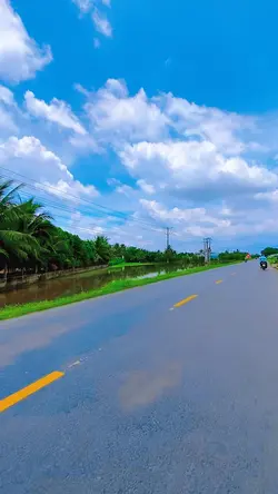 bầu trời xanh lét
