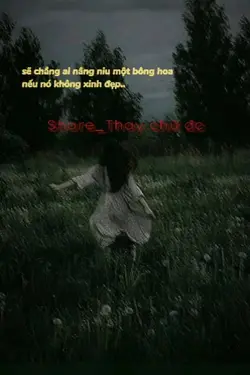 Sẽ chẳng ai nâng niu